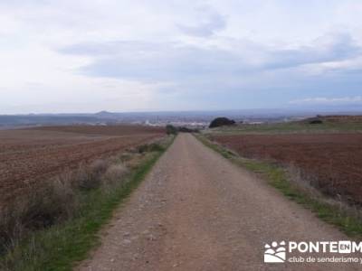 Enología en Rioja - Senderismo Camino de Santiago; senderos sevilla